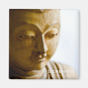 Imã Serenity - Magnet