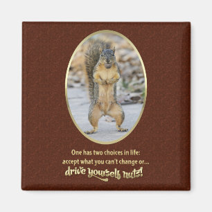 Imã Serenity Prayer em uma casca