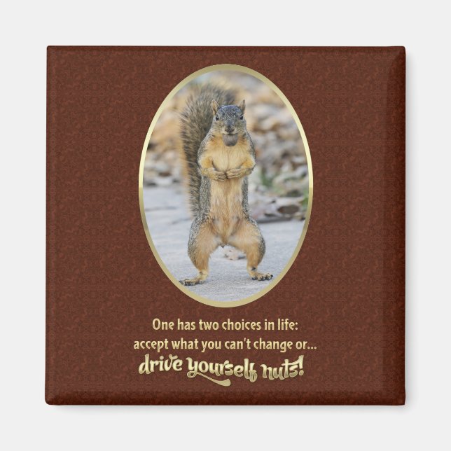 Imã Serenity Prayer em uma casca (Frente)