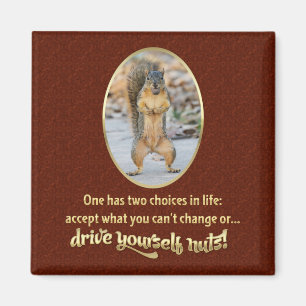 Imã Serenity Prayer em uma casca