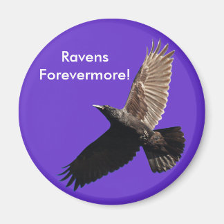 Imã Série Black Raven
