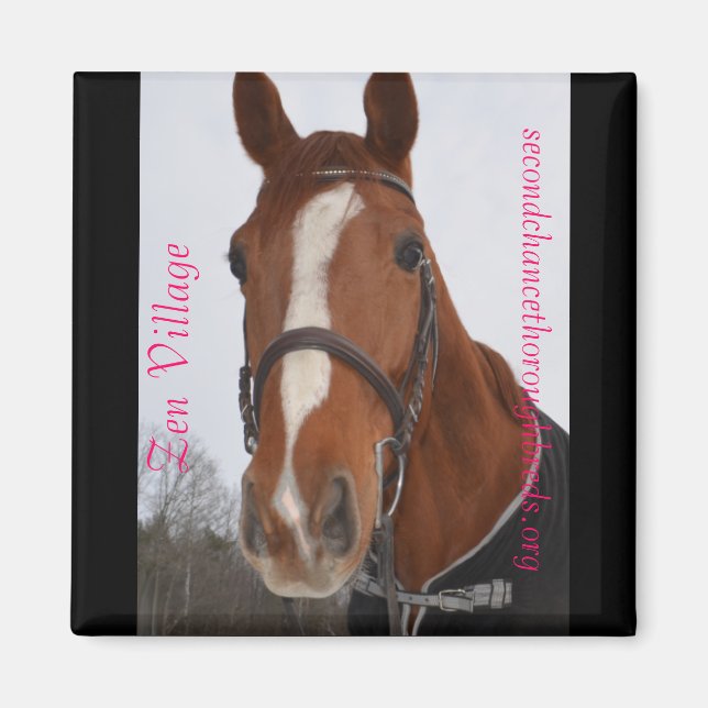 Imã Série Collectible Magnet - Aldeia Zen (Frente)