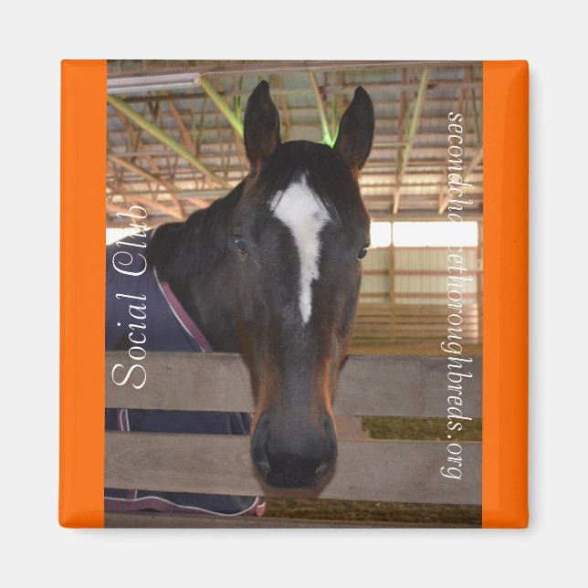 Imã Série Collectible Magnet - Clube Social (Frente)