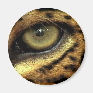 Imã Série da espécie em vias de extinção do CAT GR