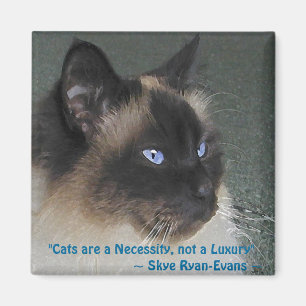 Imã Série do ímã do CAT de BIRMAN RAGDOLL