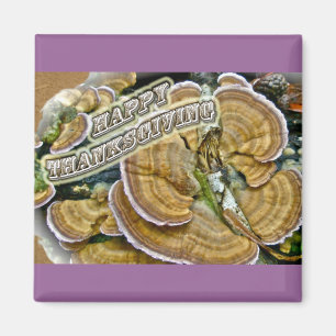 Imã Série feliz do fungo de prateleira da acção de