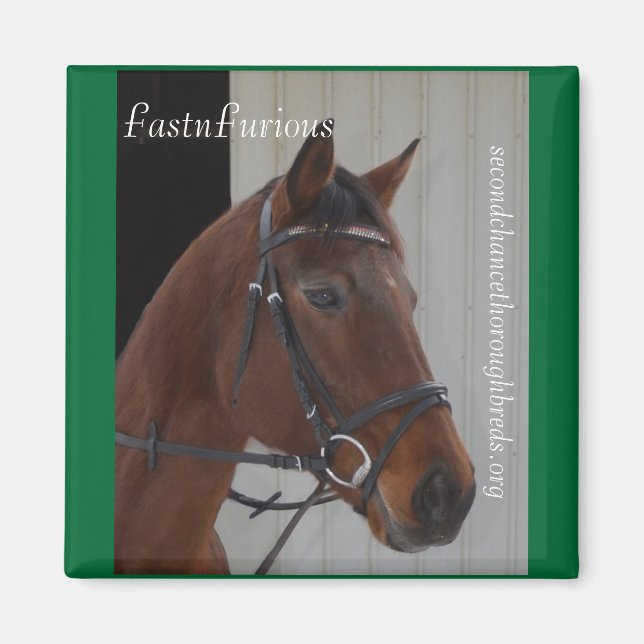 Imã Série Magnet Coleccional - FastnFurioso (Frente)