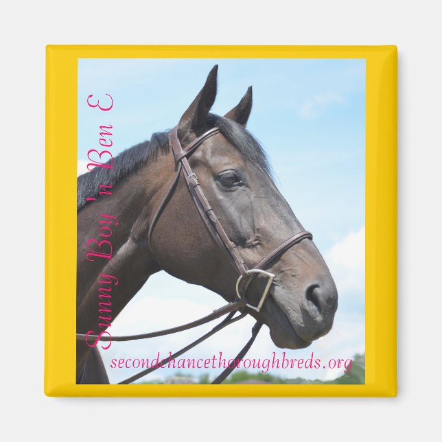 Imã Séries de Magnetos Coletivos - Sunny Boy 'n Ben E (Frente)