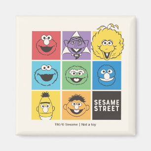 Imã Sésamo Street Pals Blocos de cores
