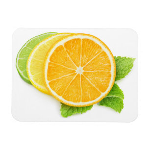 Ímã Setas de citrinos