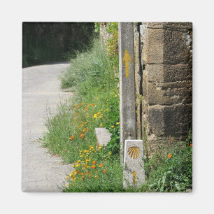 Imã Setas e ímã de Shell