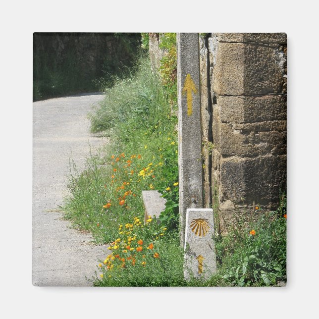 Imã Setas e ímã de Shell (Frente)