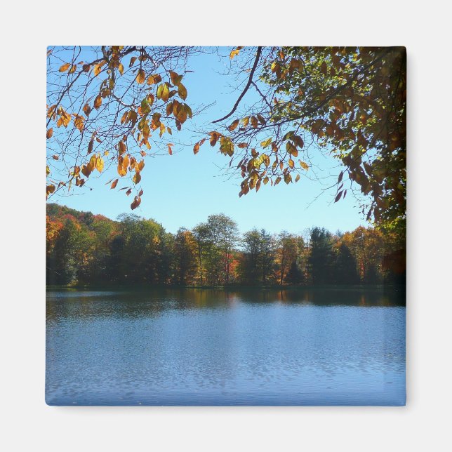 Imã Sete Primaveras Caindo Árvores e Pond (Frente)