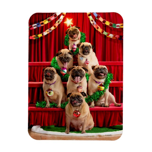 Ímã Sete Pugs-a-Posing (Vertical)
