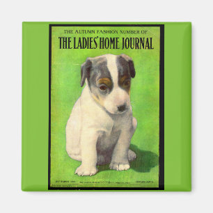 Imã setembro de 1906 Filhote de cobrir para Diário fem