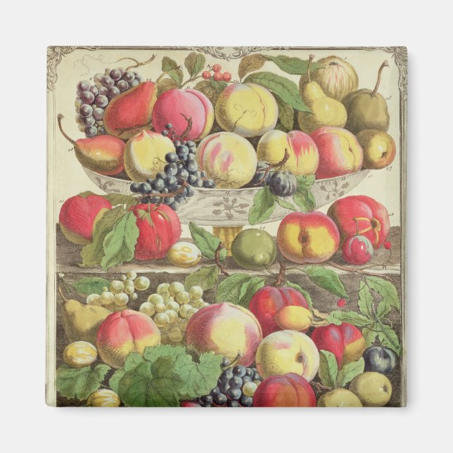 Imã Setembro, de doze meses de Fruta (Frente)