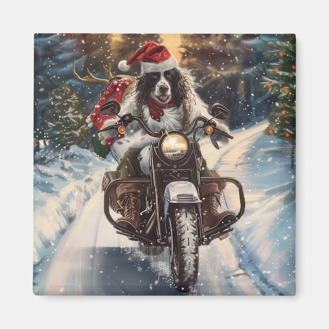 Imã Setter Inglês Cachorro Pilotando Moto Natal (Frente)