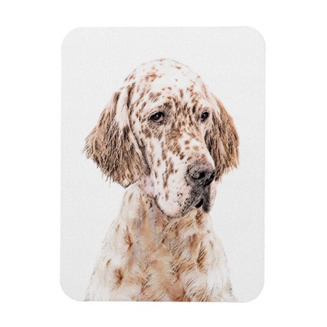 Ímã Setter Inglês Laranja Belton - Pintura de Cão (Vertical)