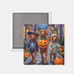 Imã Setter Irlandês Vermelho no Halloween