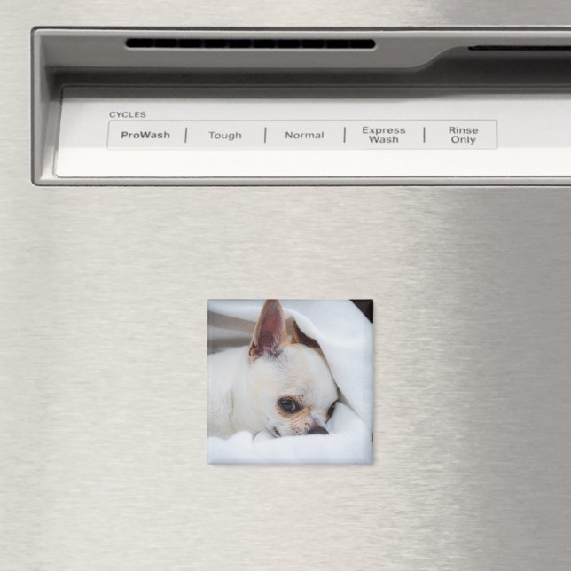 Imã Seu cachorrinho de estimação foto personalizada ch (In Situ (Dishwasher))