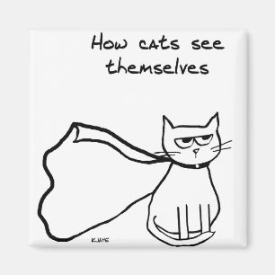 Imã Seu gato o super-herói - presente engraçado do