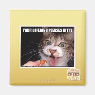 Imã Seu oferecimento satisfaz o gatinho