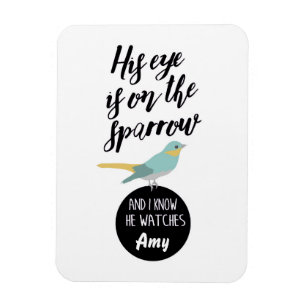 Ímã Seu Olho Está No Magneta De Faísca