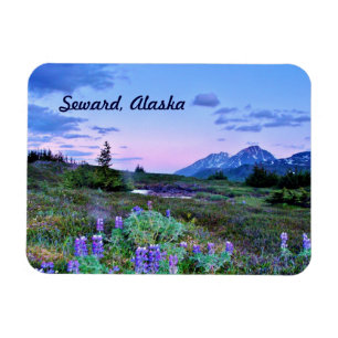 Ímã Seward, Alaska Magnet viagem