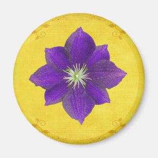 Imã Sexto Presente Chakra - Terceiro Olho