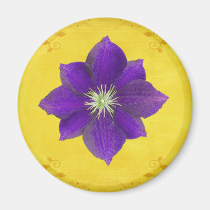 Imã Sexto presente de Chakra - terceiro olho