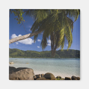 Imã Seychelles, Ilha de Mahe, Anse a la Mouche