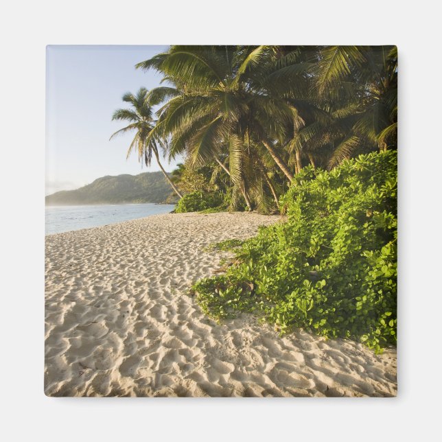 Imã Seychelles, Ilha de Mahe, Anse Marie-Louise (Frente)