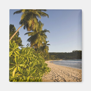 Imã Seychelles, Ilha de Mahe, praia de Anse Takamaka,
