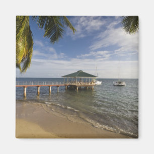 Imã Seychelles, Ilha de Praslin, Anse Bois de Rose,