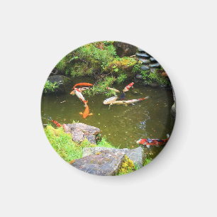 Imã SF Japonês Tea Garden Koi Pond #1 Magnet