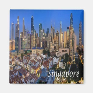 Imã SG - Singapura - Panorama