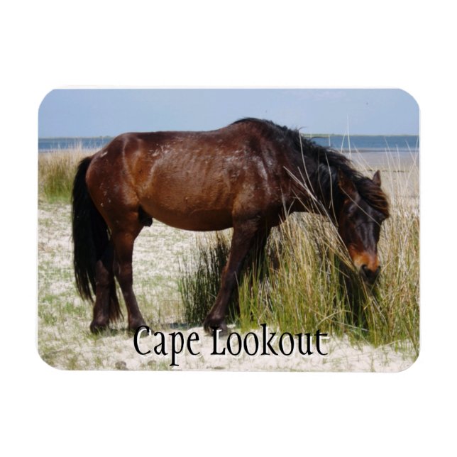 Ímã Shackleford Bank Wild Horse Magnet (Horizontal)