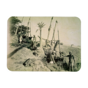 Ímã Shadufs em Egipto superior (foto do sepia)