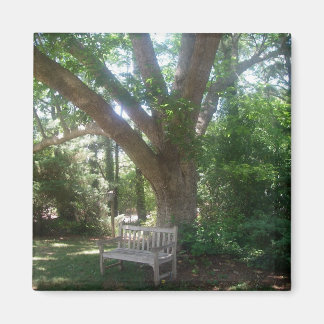 Imã Shady Place to Relax Magnet