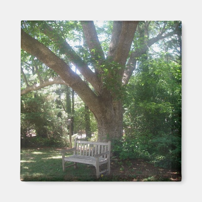 Imã Shady Place to Relax Magnet (Frente)