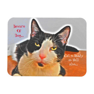 Ímã Shady Tuxedo Cat
