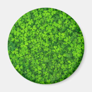 Imã Shamrock Clovers Green Irish Símbolo Irlanda