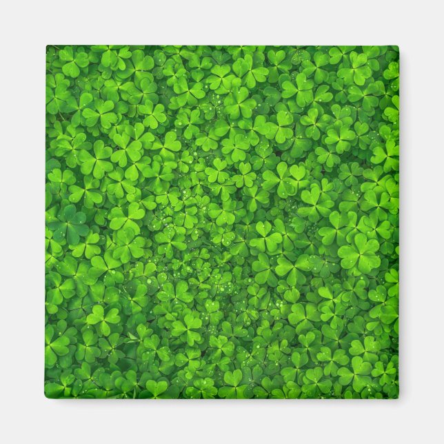 Imã Shamrock green, St. Patrick's Day, (Frente)