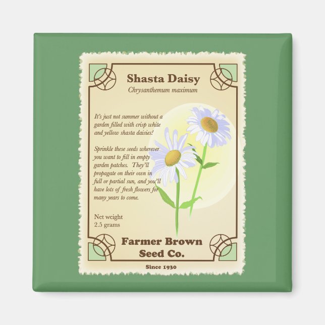 Imã Shasta Daisy Seed Packet (Frente)