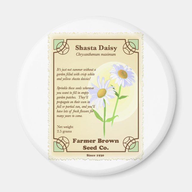 Imã Shasta Daisy Seed Packet (Frente)