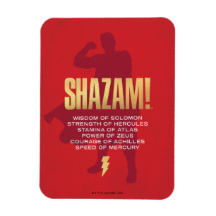 Ímã SHAZAM! Fury of the Gods   Silhueta flexível