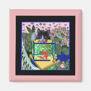 Imã Sheba's Goldfish, Cat, Art Parody,
