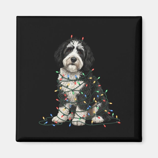 Imã Sheepadoodle Christmas I'm Fine Everything Is Fine (Frente)