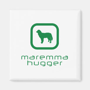 Imã Sheepdog de Maremma