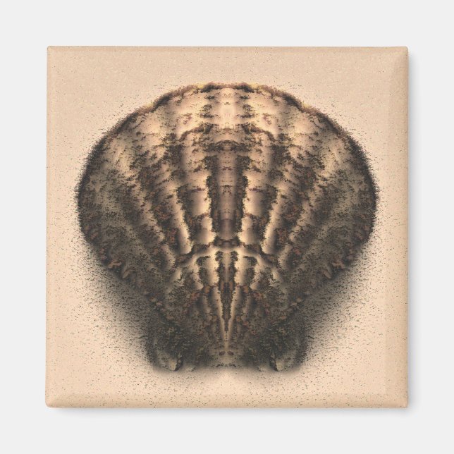 Imã Shell Magnet (Frente)